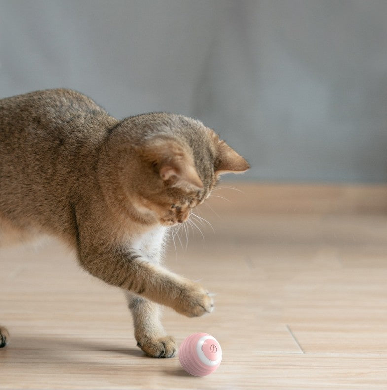 Automatic Moving Bouncing Rolling Ball